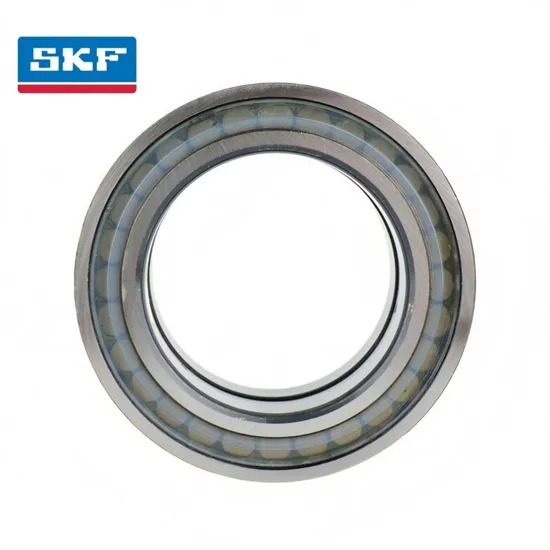 Double Row Cylindrical Roller Bearings Nu2316-Nu2318 with C3 Clearance for Vehicle Transmission