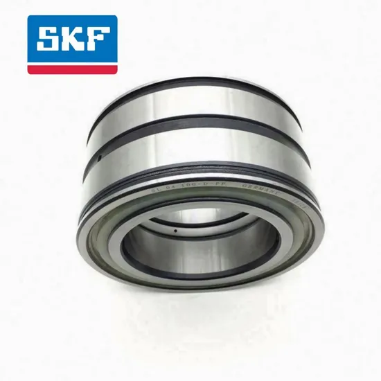 Double Row Cylindrical Roller Bearing Nu2322/2324 Ec Ml/C3 for Heavy Machinery Long Operation