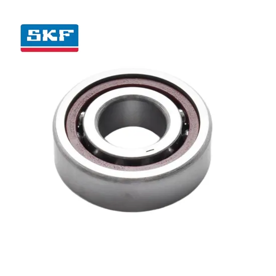 Double Row Angular Contact Ball Bearing 3304-2RS1 Nylon Cage for Power Tools with SKF Precision